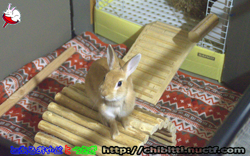 画像クリックで拡大します