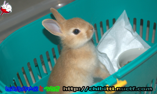 画像クリックで拡大します