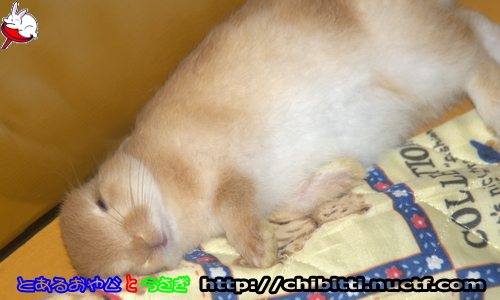 画像クリックで拡大します