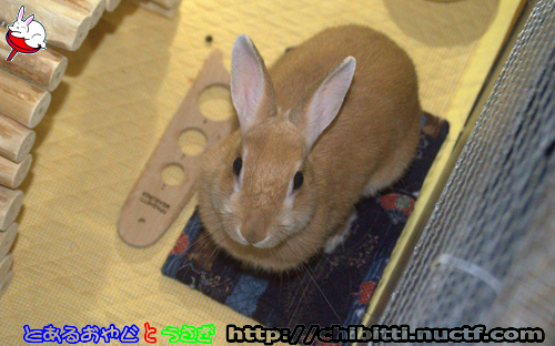 画像クリックで拡大します