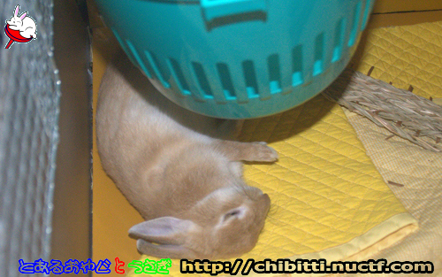 画像クリックで拡大します