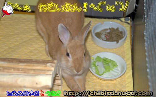 画像クリックで拡大します