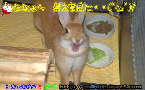 画像クリックで拡大します