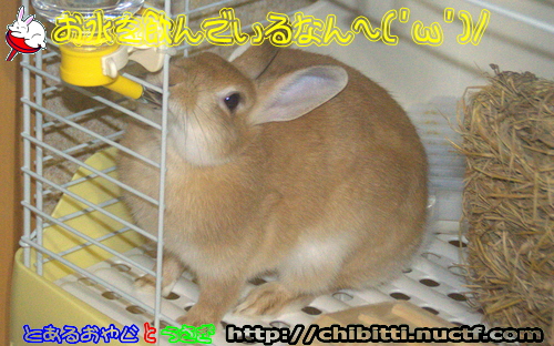 画像クリックで拡大します