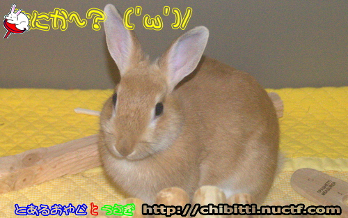 画像クリックで拡大します