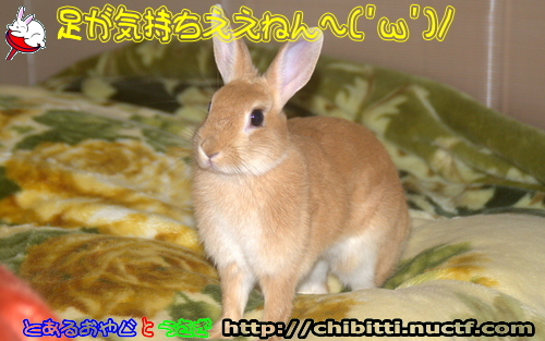 画像クリックで拡大します