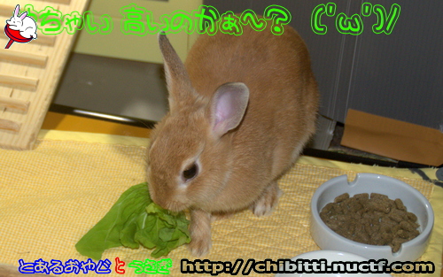 画像クリックで拡大します