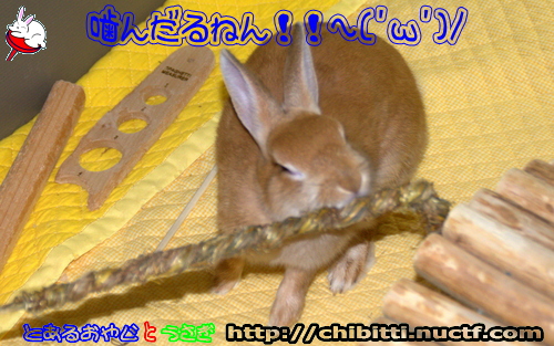 画像クリックで拡大します