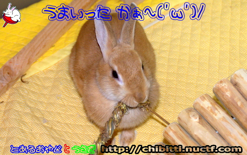 画像クリックで拡大します