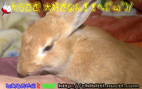 画像クリックで拡大します