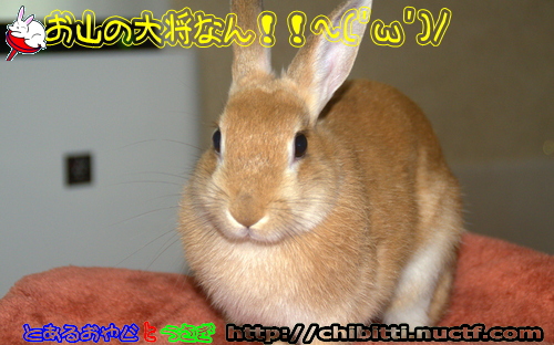 画像クリックで拡大します