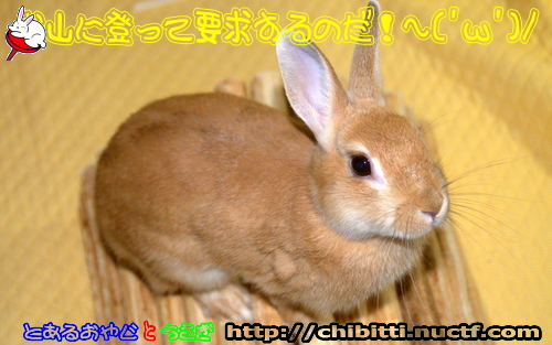 画像クリックで拡大します
