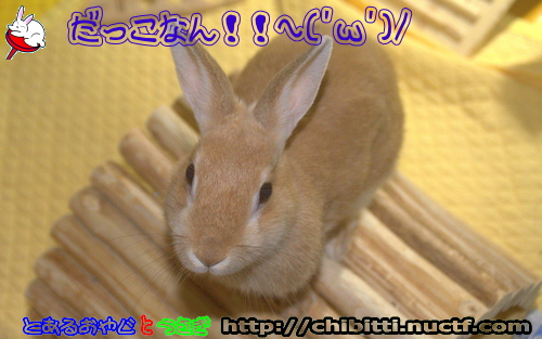 画像クリックで拡大します