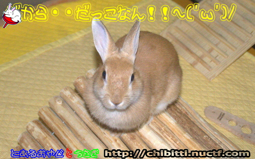 画像クリックで拡大します