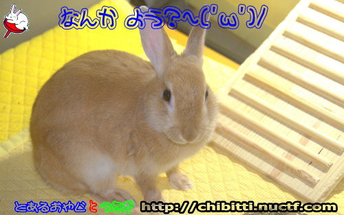 画像クリックで拡大します