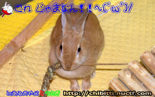 画像クリックで拡大します