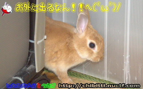 画像クリックで拡大します