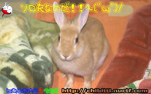 画像クリックで拡大します