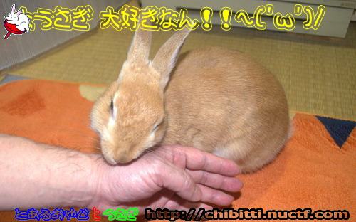 画像クリックで拡大します