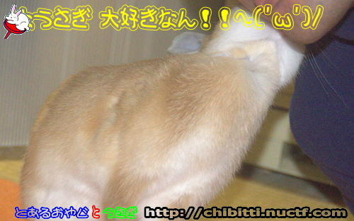 画像クリックで拡大します