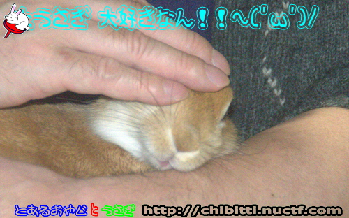 画像クリックで拡大します