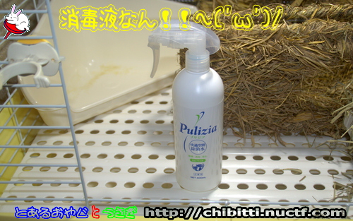 画像クリックで拡大します