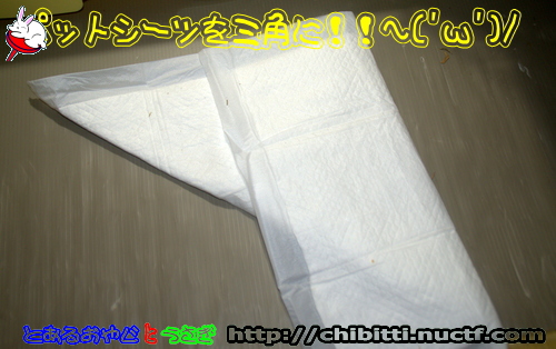 画像クリックで拡大します