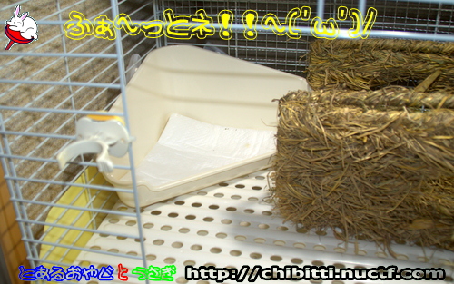 画像クリックで拡大します