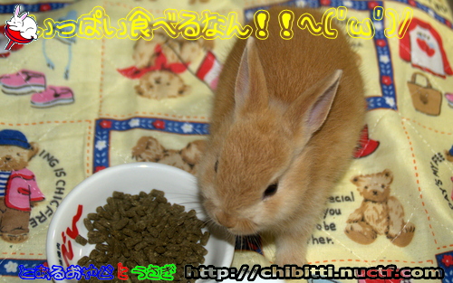 画像クリックで拡大します