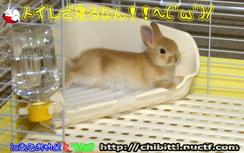画像クリックで拡大します