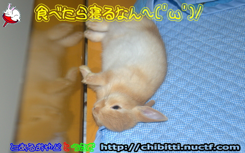 画像クリックで拡大します