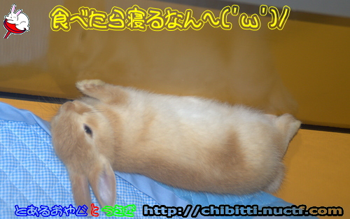 画像クリックで拡大します