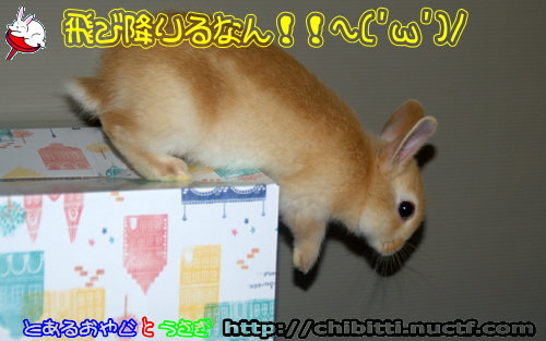 画像クリックで拡大します