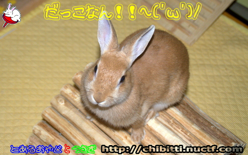 画像クリックで拡大します