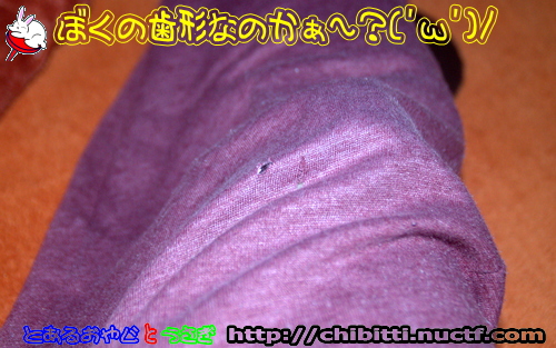 画像クリックで拡大します