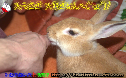 画像クリックで拡大します