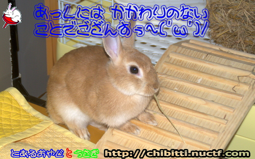 画像クリックで拡大します