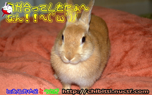 画像クリックで拡大します