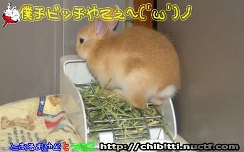 画像クリックで拡大します