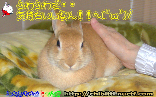 画像クリックで拡大します