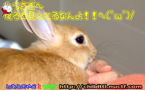 画像クリックで拡大します