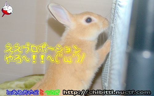 画像クリックで拡大します
