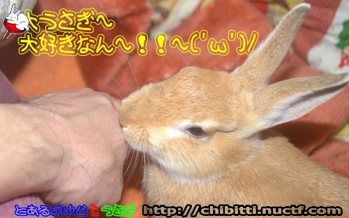 画像クリックで拡大します