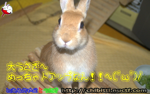 画像クリックで拡大します