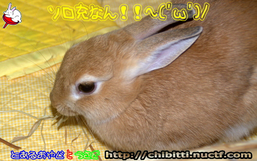画像クリックで拡大します