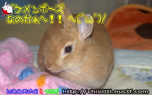 画像クリックで拡大します