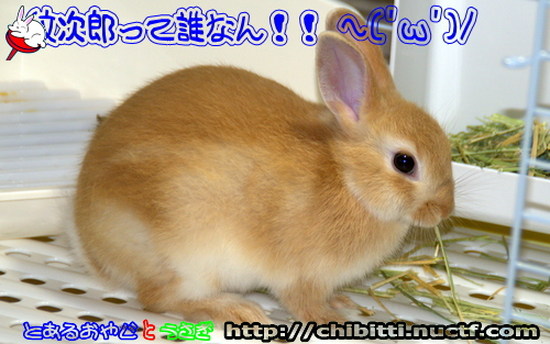 画像クリックで拡大します