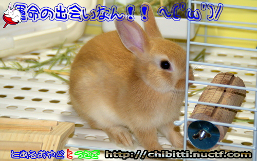 画像クリックで拡大します