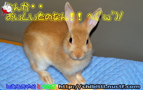 画像クリックで拡大します