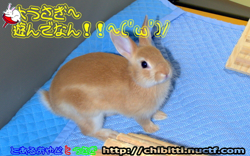 画像クリックで拡大します